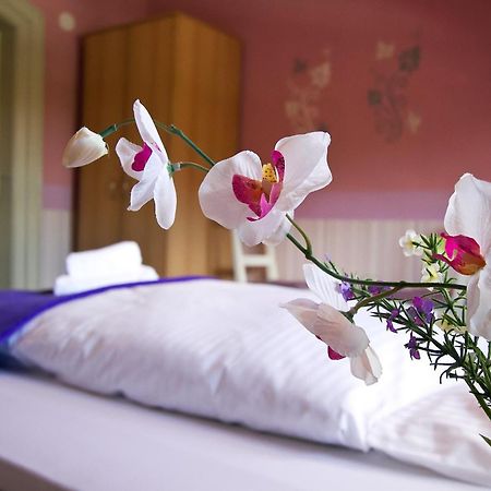 Hotel Neun 3/4 سيل المظهر الخارجي الصورة